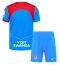 Atletico Madrid Tredjedraktsett Barn 2025-26 Kortermet (+ Korte bukser)