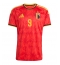Belgia Romelu Lukaku #9 Hjemmedrakt VM 2026 Kortermet Belgia Romelu Lukaku #9 Hjemmedrakt VM 2026 Kortermet