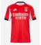 Benfica Vangelis Pavlidis #14 Hjemmedrakt 2025-26 Kortermet Benfica Vangelis Pavlidis #14 Hjemmedrakt 2025-26 Kortermet
