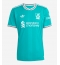 Liverpool Florian Wirtz #7 Tredjedrakt 2025-26 Kortermet