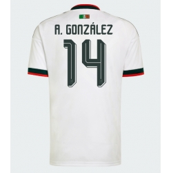 Mexico Armando Gonzalez #14 Bortedrakt VM 2026 Kortermet