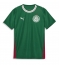 Palmeiras Hjemmedrakt 2026-27 Kortermet Palmeiras Hjemmedrakt 2026-27 Kortermet