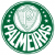 Palmeiras fotballdrakt dame